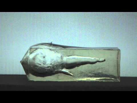 223 cal Ballistics Gel