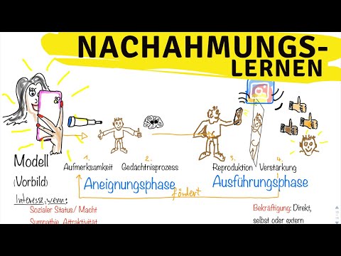 Nachahmungslernen Verhaltensbiologie - Albert Bandura