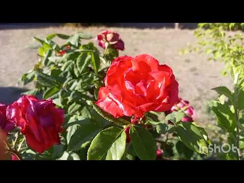 Gilgit Baltistan's News 30 April 2025