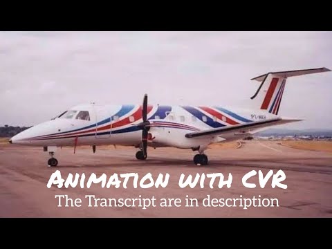 Capital Taxi Aéreo PT-WKH Crash || Animation with CVR. (Subtitles/CC On)