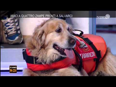 Siamo noi - "Animali" - Puntata del 25 marzo 2015