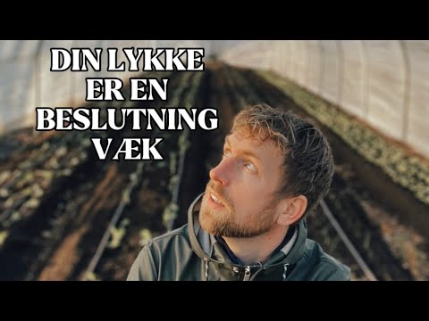 Det skal du så i køkkenhaven NU - (vejen til at blive selvforsynende)