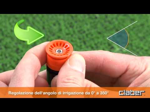 I parassiti in capelli della persona eccetto perdono Metodo di definizione di helminths nel terreno