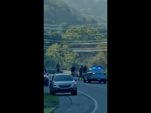 2 college cyclists killed, 7 injured in Tenn. car crash
