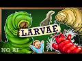 Why Do Larvae Exist Broadly Speaking