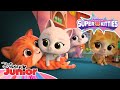 Dzień Kociaka Superkoty Disney Junior Polska
