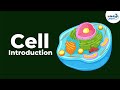 Cells Introduction Biology Don T Memorise