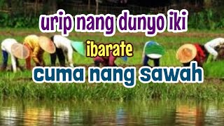 Download lagu pengajian kitab KH Masrikhan mojokerto mp3