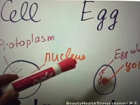 (3) Cosmo 2 Class: Anatomy: Cells