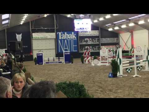 Gallardo - Stallioncompetition Finals - 4y (Galayo la Silla x Count Grannus)