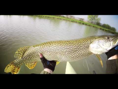 Sacosu Turcesc :: April - May 2016