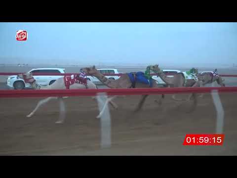  ش 3 (عوايد) لـ عيسى جمعه بن عصيان المنصوري 2:53 ، شارة الصندوق 2026/08/16 فطامين الروضة