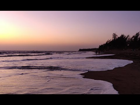 Kupla Radio [ Lo-Fi Hip Hop for studying📚/ relaxing🌃 ]