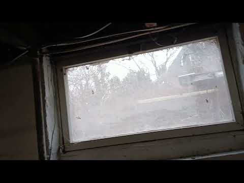 What's Attracting the Flies to the Basement in Seaside Park, NJ