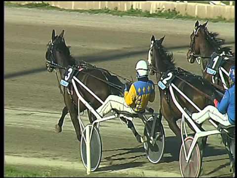 Trotto 13/03/2016 - 4° corsa