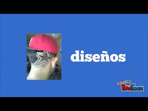 barber shop the pols