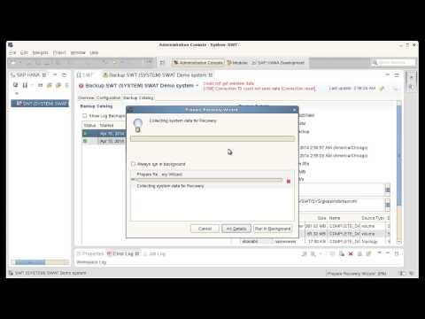 IBM Spectrum Protect for ERP - Data Protection for SAP HANA