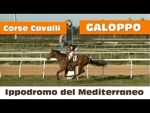 Corse cavalli di Galoppo del 30 Gennaio 2021