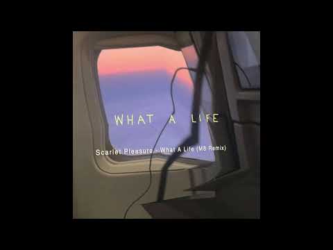 Scarlet Pleasure - What A Life (M8 Remix) #scarletpleasure #whatalife #druk #anotherround