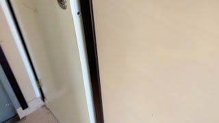 Conteneur bureau Moelven K21M4WP | Image 4 - Machineryline