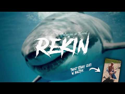 zaluzja x kowal - Rekin