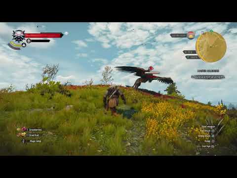 The Witcher 3: Wild Hunt – Complete Edition_20200919104852