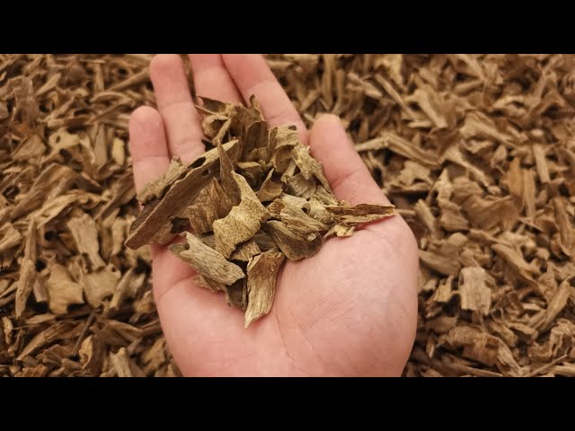 عود هندي نقلاند موري سوبر مرتفع من متجر مبخر أحمد