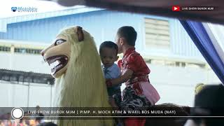 Download lagu Pengen Disayang - Burok Mjm Live Pabuaran Kidul Pabuaran Cirebon [16-10-2018] mp3