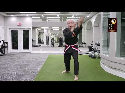 Combination Techniques: Sequence 6 – Sensei Rod Lindgren
