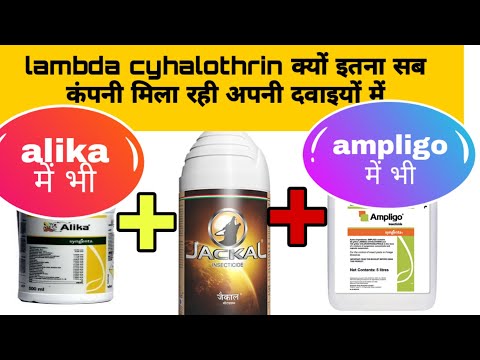 Lambda Cyhalothrin 4.9 CS