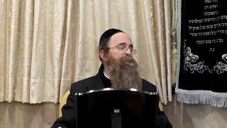 השיעור השבועי הרב בן ציון אבא שאול פרשת וישב  תשפ"ו  בבית הכנסת "אהל רחל" (בית הכנסת מוסאיוף) - התמונה מוצגת ישירות מתוך אתר האינטרנט יוטיוב. זכויות היוצרים בתמונה שייכות ליוצרה. קישור קרדיט למקור התוכן נמצא בתוך דף הסרטון