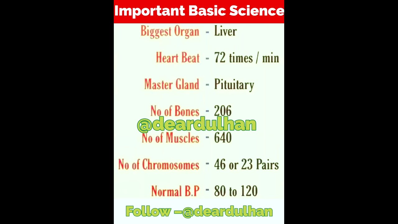 Most Important Basic Science Knowledge | #shorts #shortsfeed #biology #basic