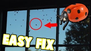 How To Get Ladybugs Off Windows (EASY) Dont Use Your Vacuum!