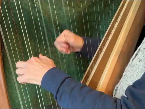 Learn how to play "Inisheer" (Thomas Walsh) on Celtic Harp. Pt 2: Chord suggestions (left hand).