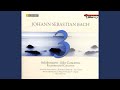 Organ Concerto in D Minor (after BWV 146 and BWV 188) : II. Adagio