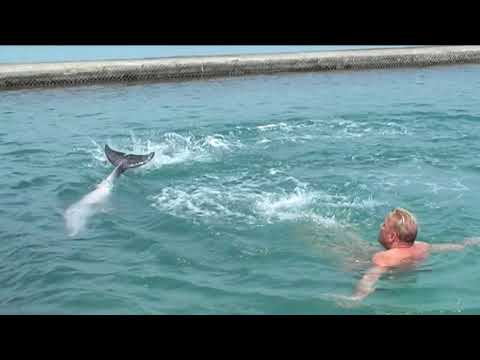 My life in Cartagena, part1.