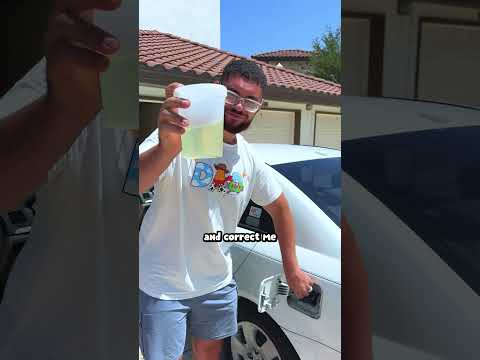 Wasp vs Gas