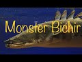 Godzilla 2.0 giant congicus bichir