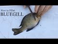 How to Fillet a Bluegill - Simple Instructions with Demonstration