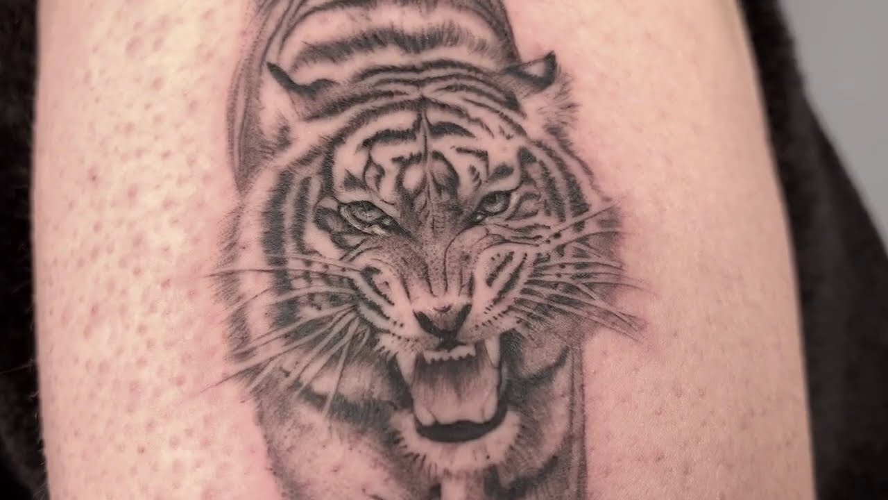 korean tattoo black and gray tattoo tiger by cindy tattoo