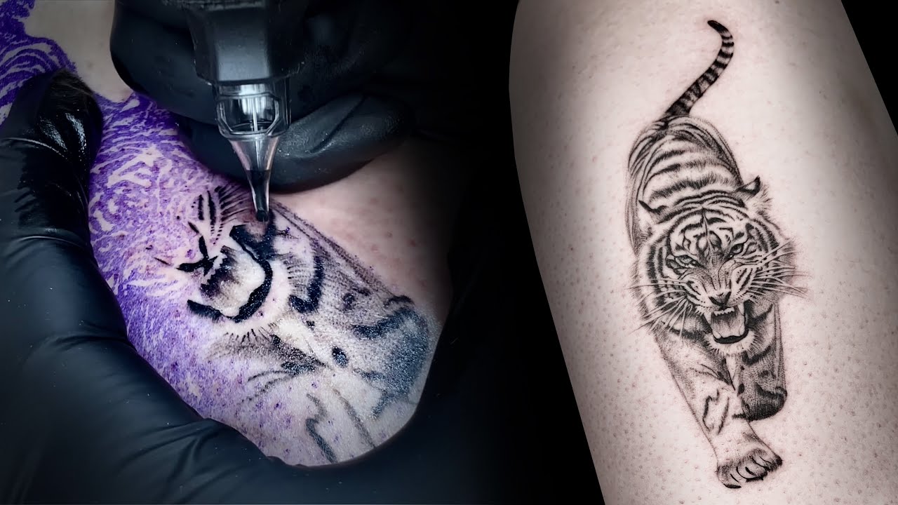 korean tattoo black and gray tattoo tiger by cindy tattoo