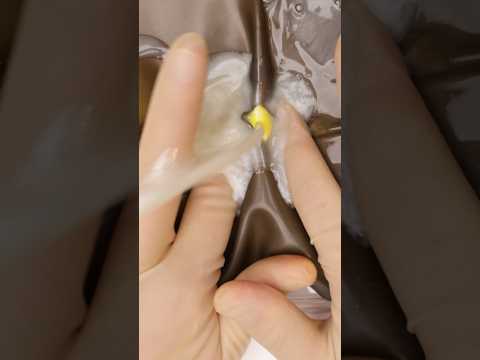 Draining Abscesses #funfacts #vet #medicine #surgeon #surgeonlife #oddlysatisfying #lancing #abscess