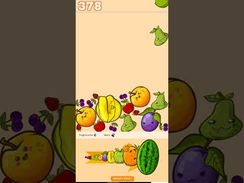 Fruity Fusion