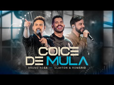 Bruno Rosa Oficial and Clayton e Romário