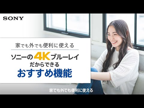 【美品】ソニー SONY BDZ-FBT-4200 4TB
