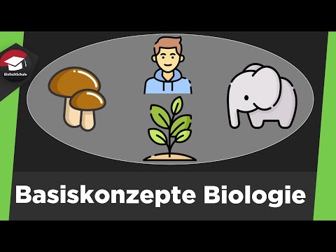 Basic concepts of biology explained simply - 8 basic concepts - basic concepts summary!
