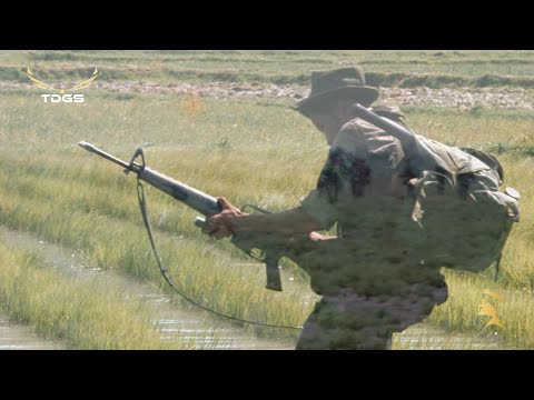 Những Bài Nhạc Xuân Bất Hủ Trước 1975 - Mùa Xuân Trên Cao, Tâm Sự Ngày Xuân