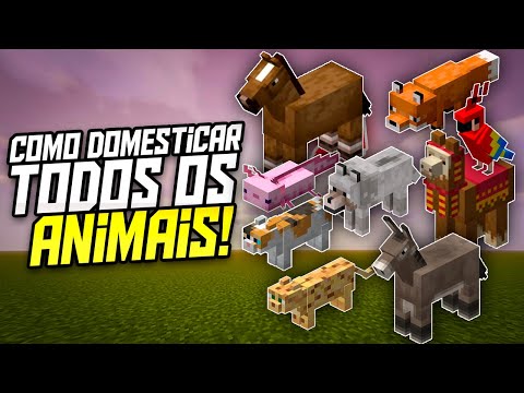 Como Domesticar TODOS os ANIMAIS no Minecraft!