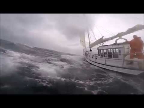 Storm Jib Sailing.  Moderate Gale.