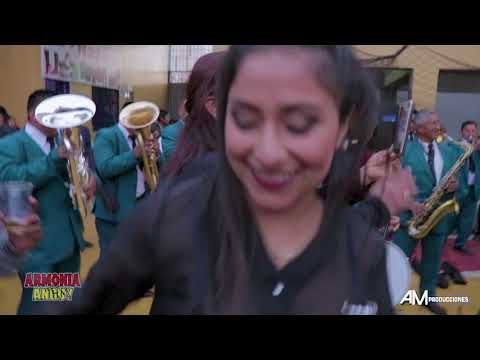 ARMONIA ANGUY - VIZCACHITA - HUALAYCHO BANDIDO - ANI. PALLAS DE MACANIA 2019